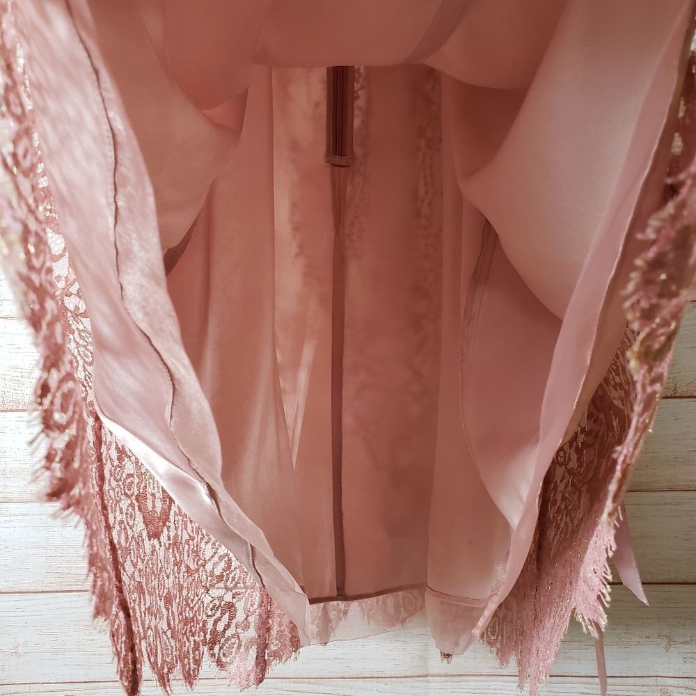 Ann Taylor Lace Metallic Ribbon Strap Dress Eyelash Lace Hem Size 6 Blush Pink - Picture 6 of 13